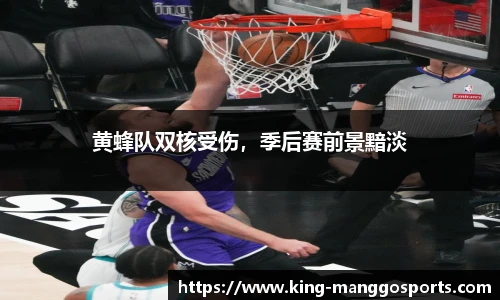 黄蜂队双核受伤，季后赛前景黯淡