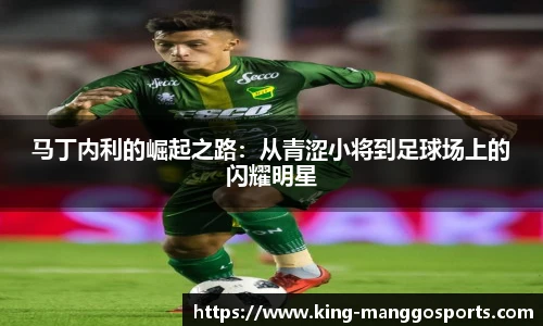 马丁内利的崛起之路：从青涩小将到足球场上的闪耀明星
