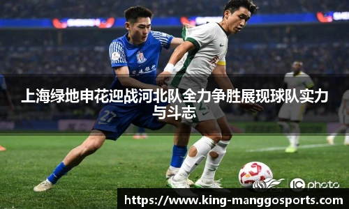 上海绿地申花迎战河北队全力争胜展现球队实力与斗志